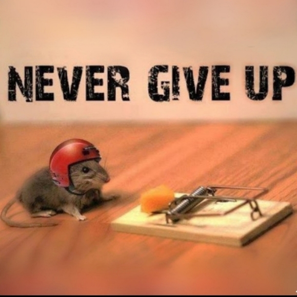 Share here! โค chat here! - Picture 7 of 15